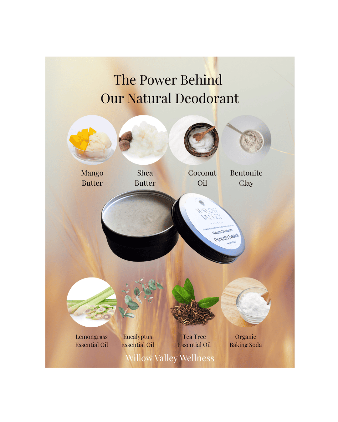 Switching to natural deodorant explained through a visual list of natural ingredients