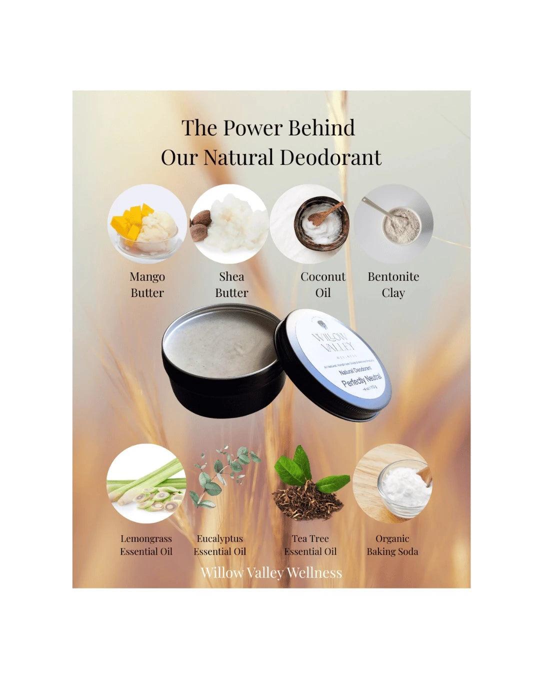 Ingredients used in Willow Valley Wellness natural deodorant, including mango butter, shea butter, coconut oil, bentonite clay, essential oils, and baking soda