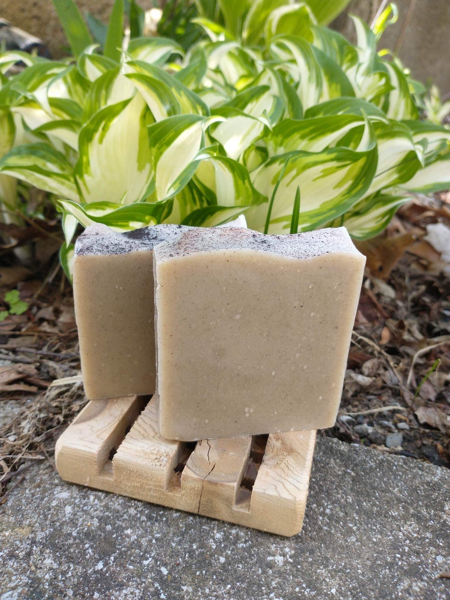 Gardener's Soap - All Natural Pumice Soap – Greener Gardeners