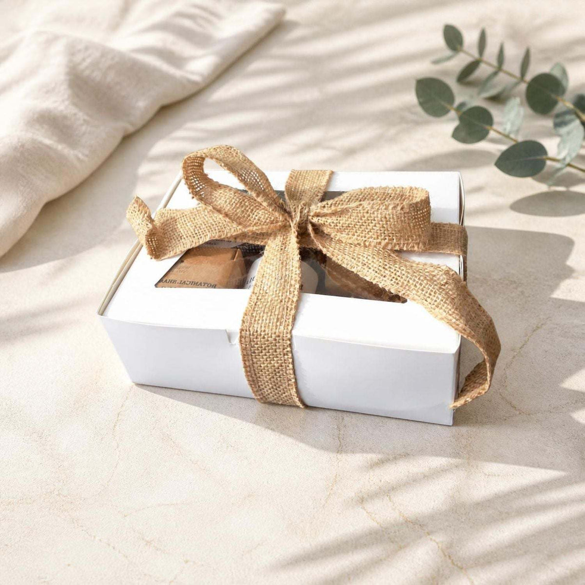 Willow Wellness Bundle with soap, shampoo bar and deodorant in a warm neutral wellness setting